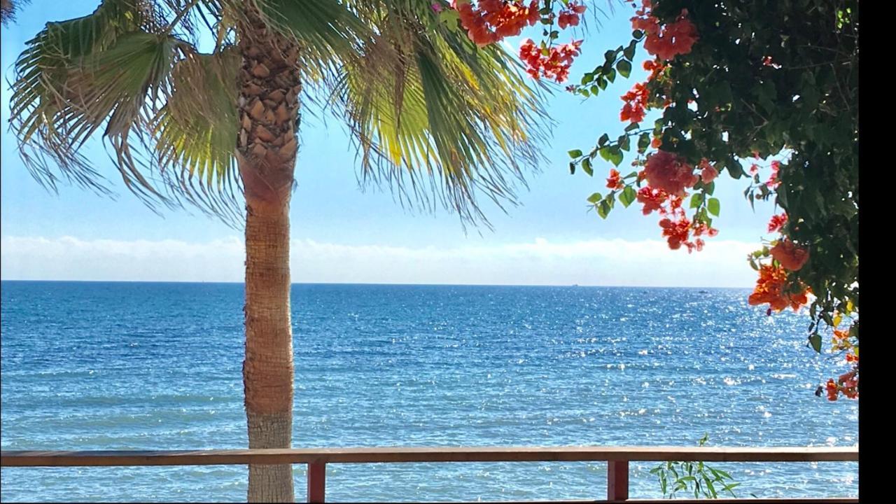 Mi Capricho Beachfront- 3-7 Apartment With Sea Views Sitio de Calahonda Ngoại thất bức ảnh
